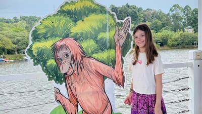 Orang Utan Island